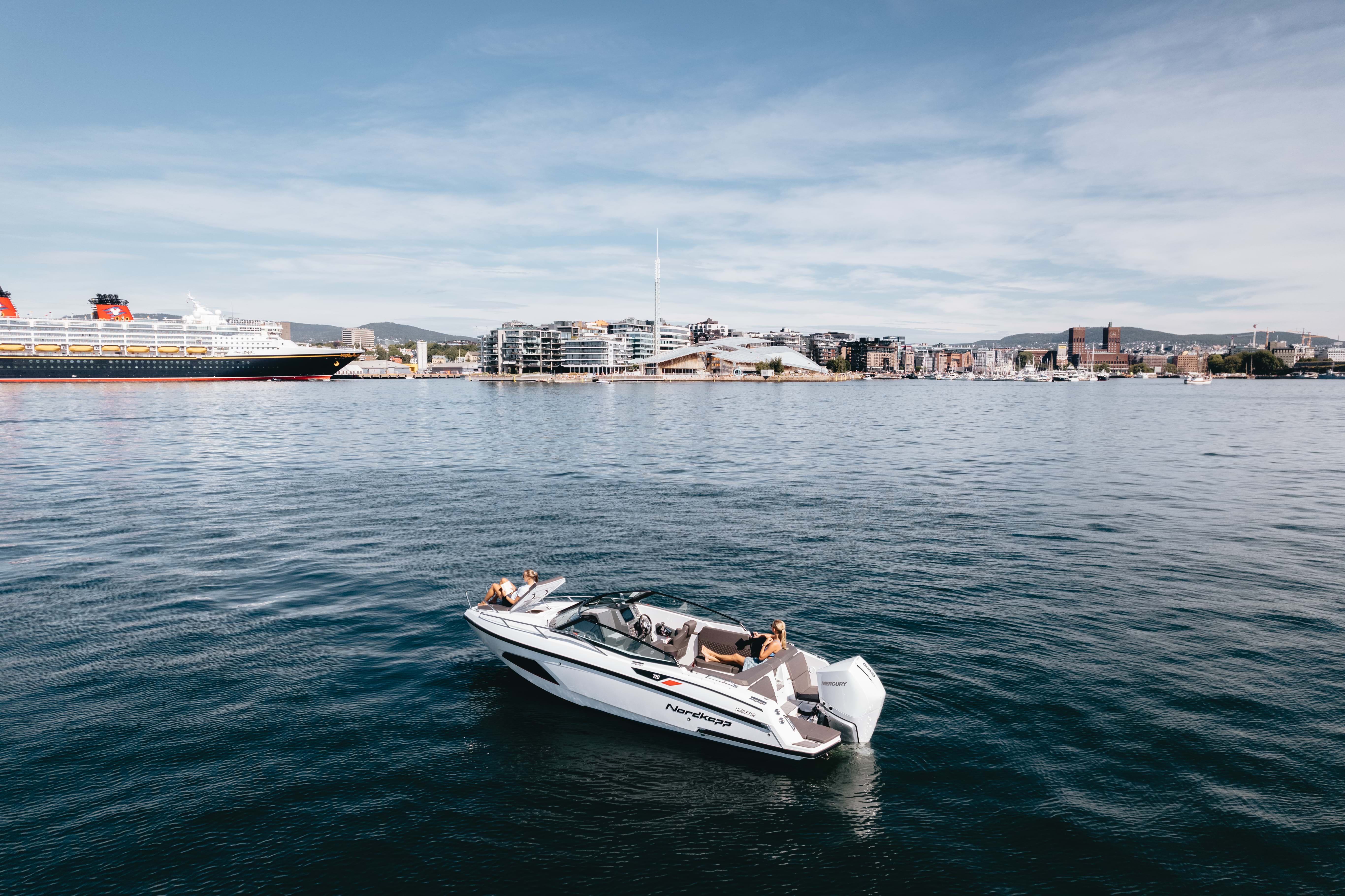 Daycruiser Buyers Guide